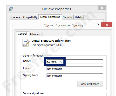 Screenshot of the Kontiki, Inc certificate